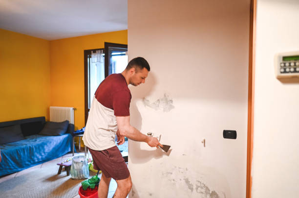 Best Black Mold Removal  in Lyons, IL