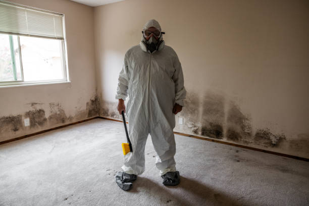 Best Crawl Space Mold Removal  in Lyons, IL